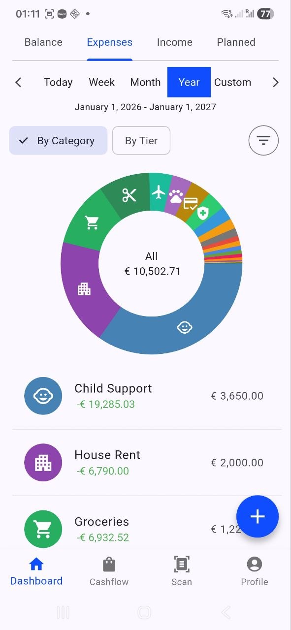 Expense pie chart screenshot